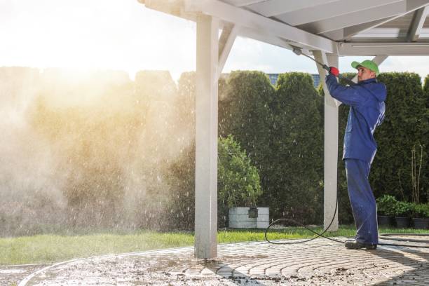 Animal Enclosure Cleaning in Geneva, FL